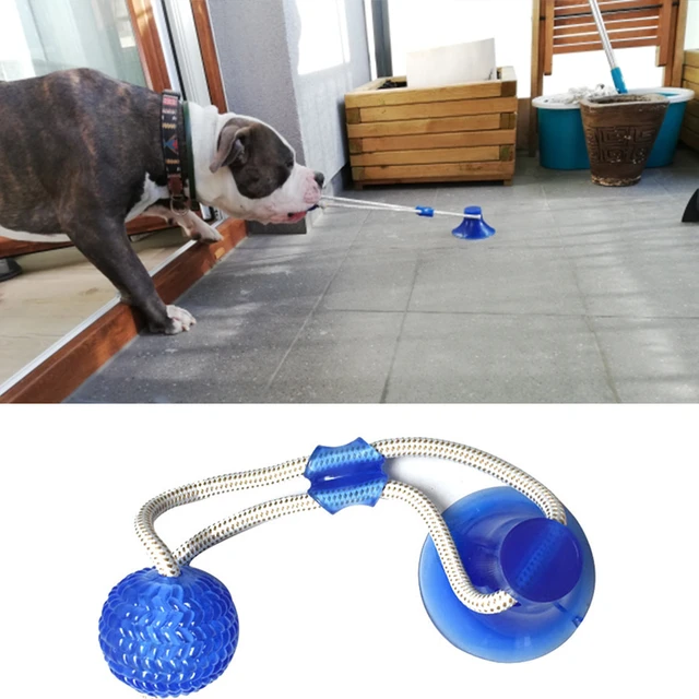 Dog Rope Ball Interactive Tug of War Toy Suction Cup Molar Teeth