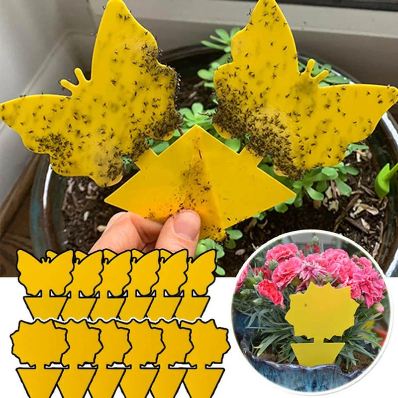 Liquidación Amarillo en forma de mariposa de doble cara adhesiva de la planta de flores y hortalizas Mosquito moscas trampa de adhesivo de insecto de Control ezYoMDMa36R