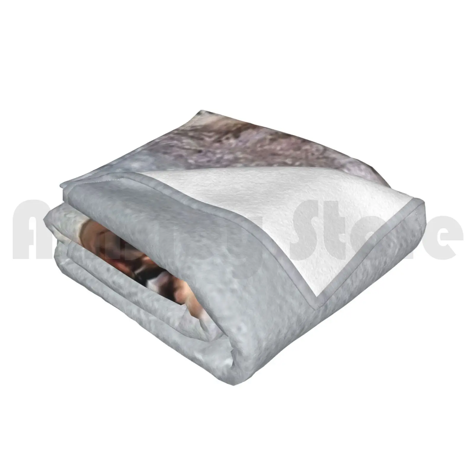 ���� �� ��� �м� ���� 1424 ���� �� ���� �� ��ȭ ������ �� �౸ ������