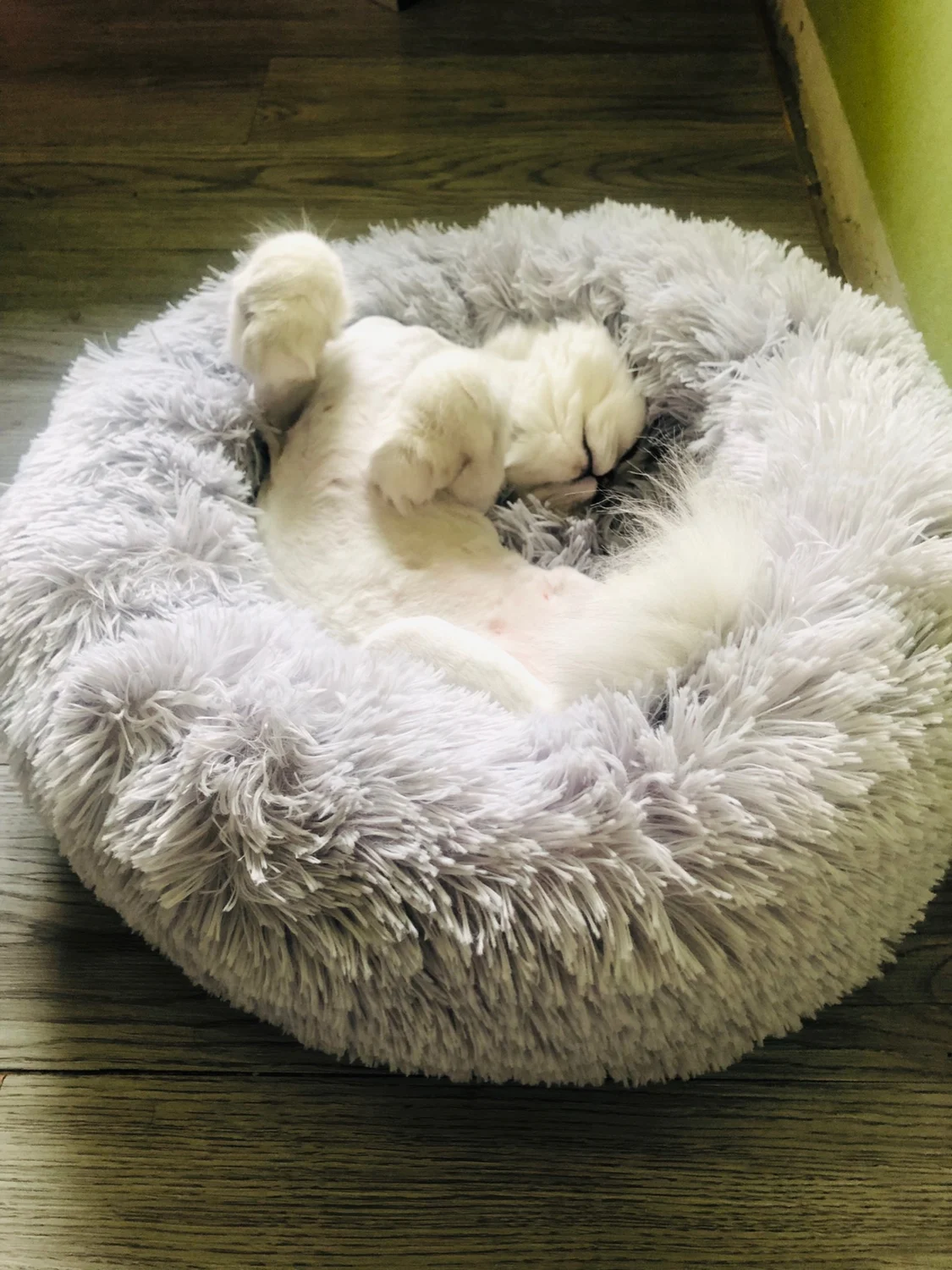 Pet Dog Bed Warm Fleece Round Dog Kennel House Long Plush Pets Dog Beds For Medium Large Dogs Cats Soft Sofa Cushion Mats #25 Pet Dog Bed Warm Fleece Round Dog Kennel House Long Plush Pets Dog Beds For Medium Large Dogs Cats Soft Sofa Cushion Mats #25