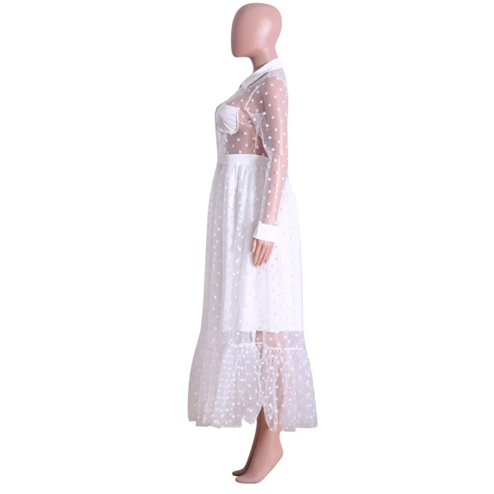 11631517415_393346674