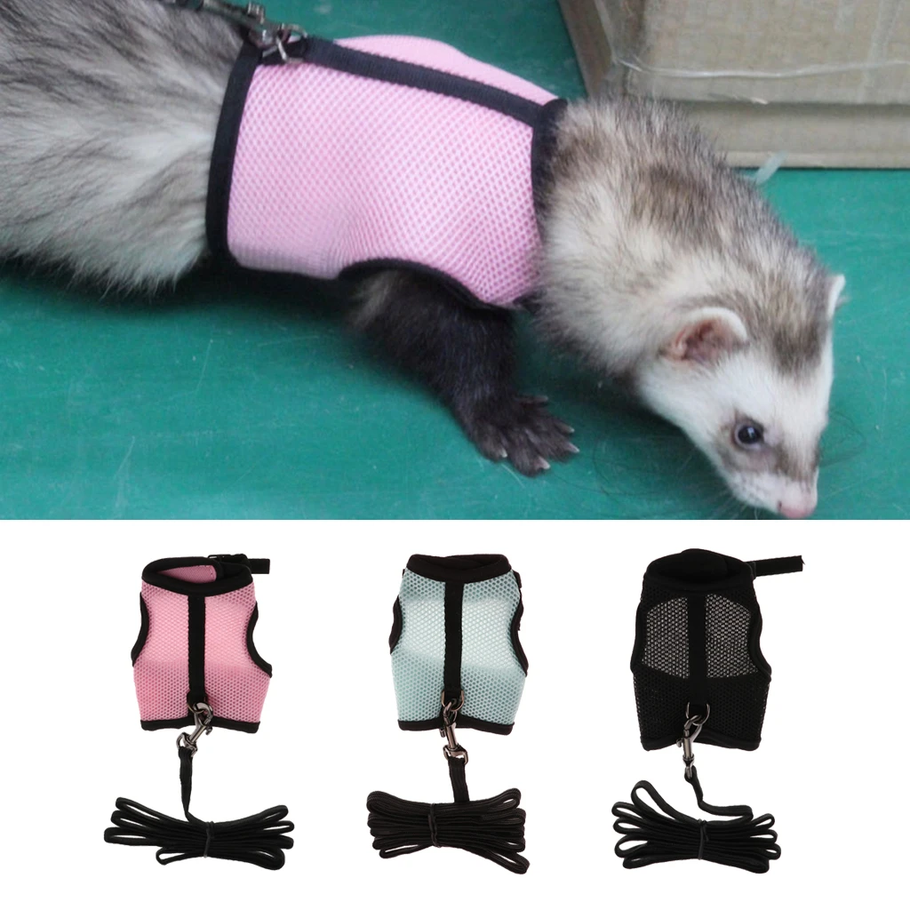 Harnais De Furet Reglable Pour Bebe Lapin Ecureuil Hamster Rat Souris Corde De Plomb Petit Animal Domestique Accessoire De Marche Pour Chien Et Chat Aliexpress