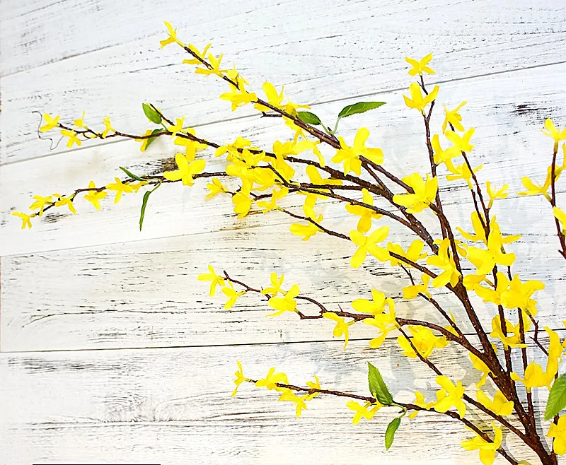 13749571130_874253957