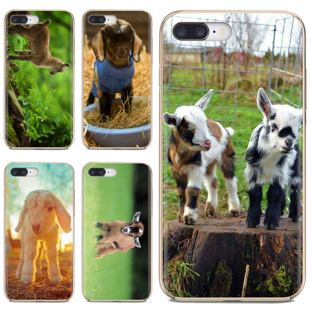 The Cutest Baby Pygmy Goat Wallpaper Soft Cover For iPhone iPod Touch 11 12  Pro 4 4S 5 5S SE 5C 6 6S 7 8 X XR XS Plus Max 2020|Phone Case & Covers| -  AliExpress