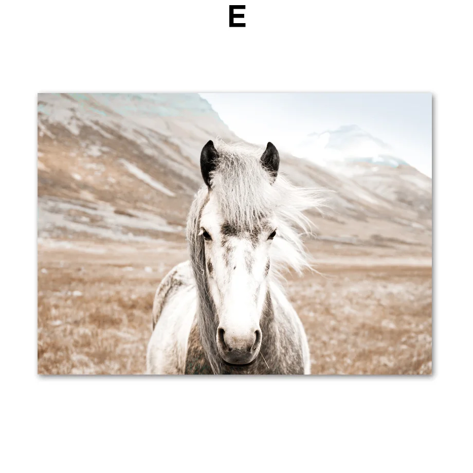Desert-Horse-Girl-Grass-Wild-Free-Quotes-Wall-Art-Canvas-Painting-Nordic-Posters-And-Prints-Art (7)