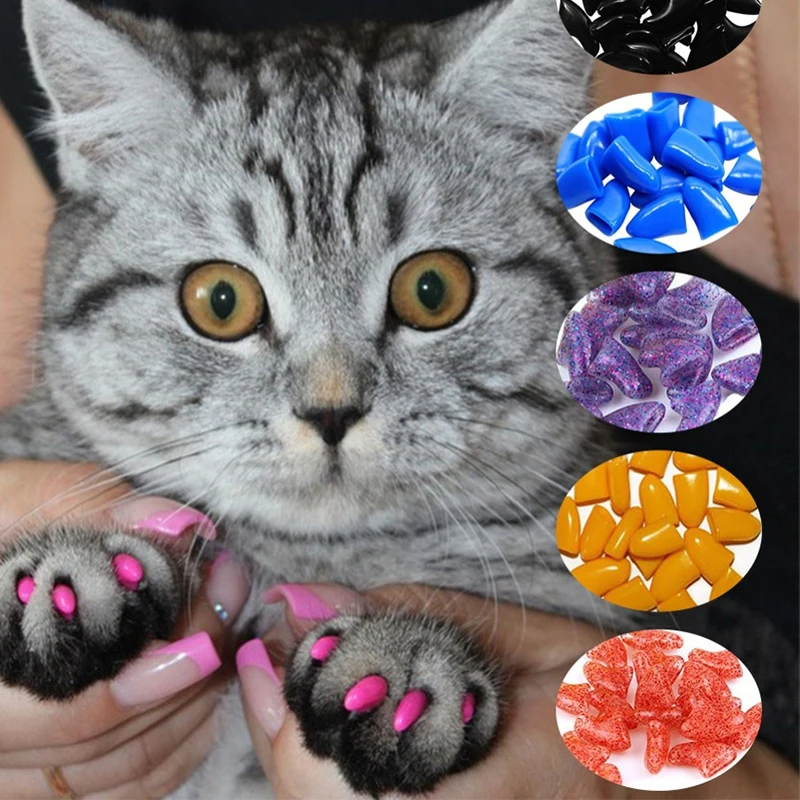 Nail Adhesive Cat Claw Nail Covers VICTHY 100pcs Cat Nail Caps