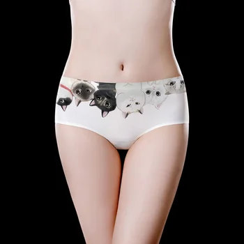 

Cat Printed Girl's Knicker Wholesale