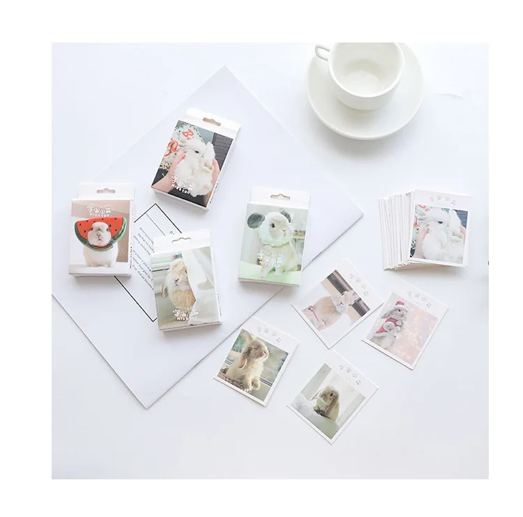 9302878396_111485077