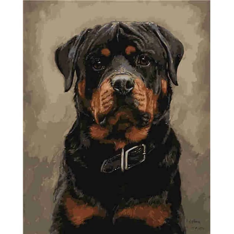 

DIY Frame Black Dog Pictures By Numbers Oil Painting On Canvas Handmade Digital Acrylic Canvas Painting Wall Art Unique Gift