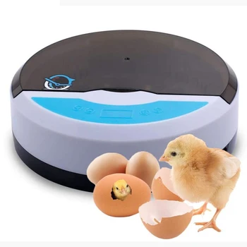 

Durable 9 Eggs Capacity Automatic Intelligent Temperature Control Egg Incubator Multi-functional Practical Hatcher