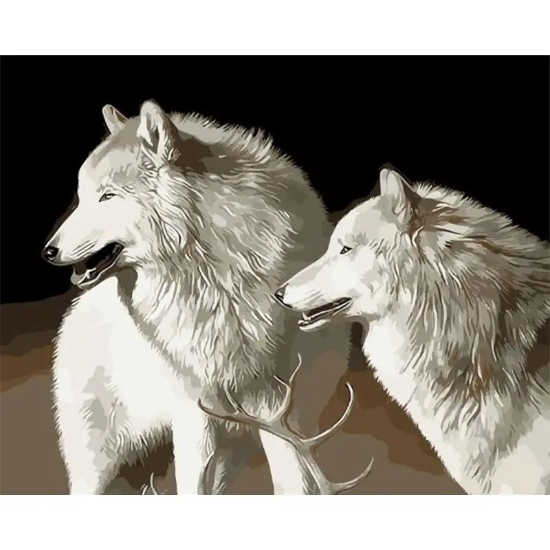 

SELILALI Framed Painting By Numbers Diy Gift For Adults HandPainted White Wolf Animal Picture Oil Paint Kis 50x65cm Draw Canvas