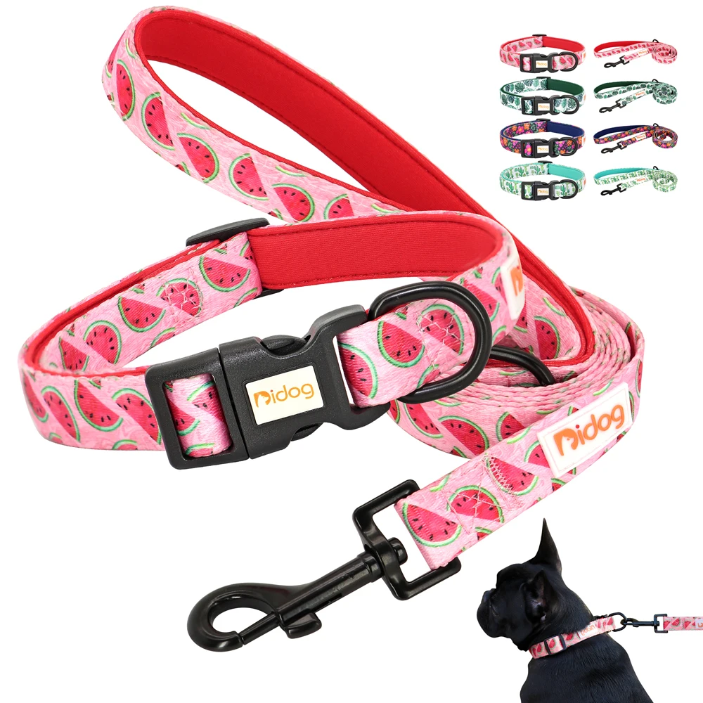 Adjustable Dog Cat Collar and Leash Set Nylon Pet Chihuahua Collars Dog