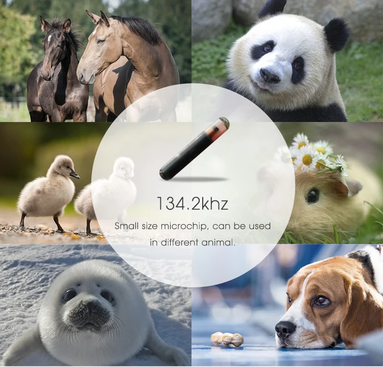 2.12mm animal microchip (6)