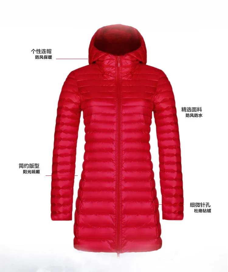 5744479906_1202241850