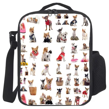 

Portable Lunch Bag For Women Kids Men Dogs Pet Basket Cats Flatworms Turtle Insulated Box Tote Bag Thermal Cooler Food Bag