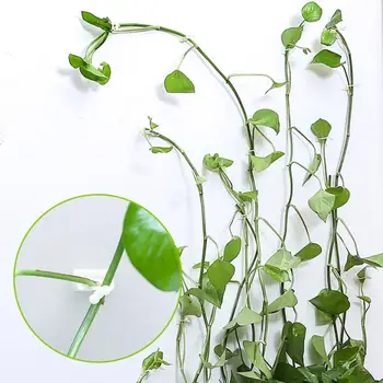 

50 Plant Bundled Lashing Hook Garden Accessories Fixed Vegetable Strapping Of Fruit Vines Garden Tree Climbing Support Wholesale