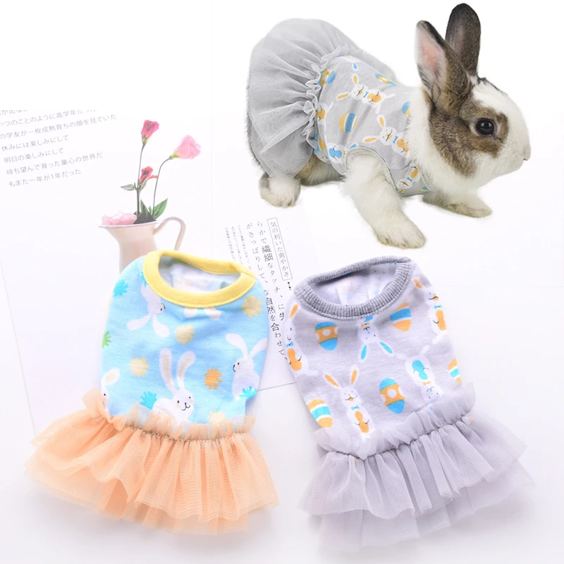 Bunny Clothes Dwarf Rabbits Turn Into Dress Up Costumes Bunny Go Out
