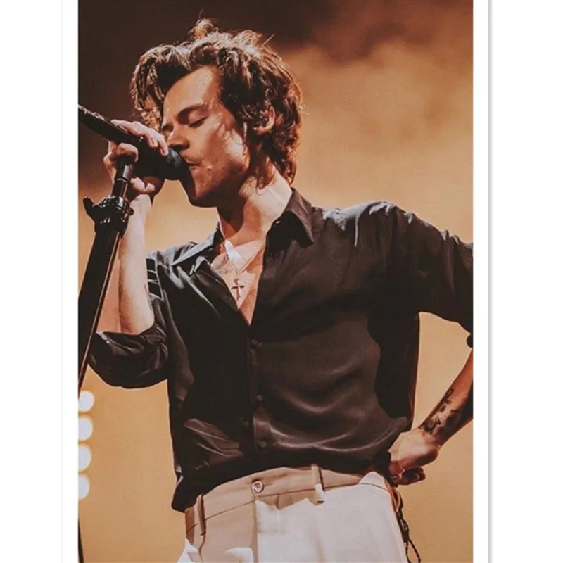 Harry Styles Singing Paint By Numbers My Art Hour