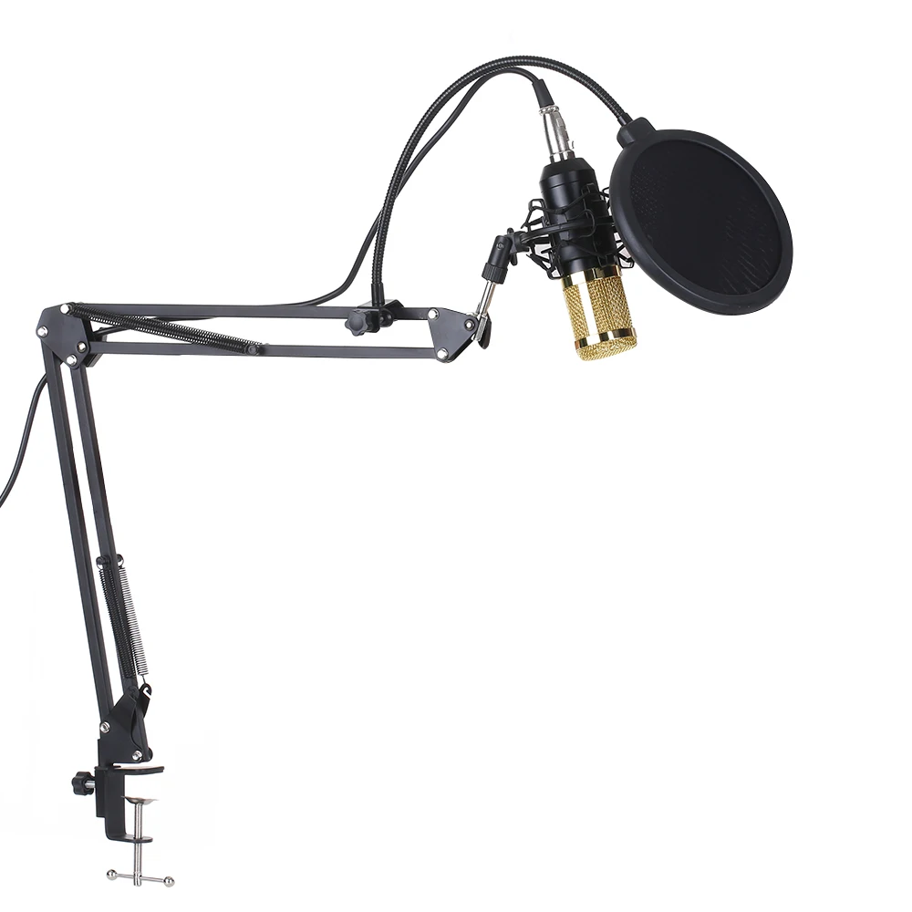 Condenser Microphone Lit Pro Audio Studio Recording Brocasting Adjustable Mic Suspension Arm Filter Microphone For PC Studios