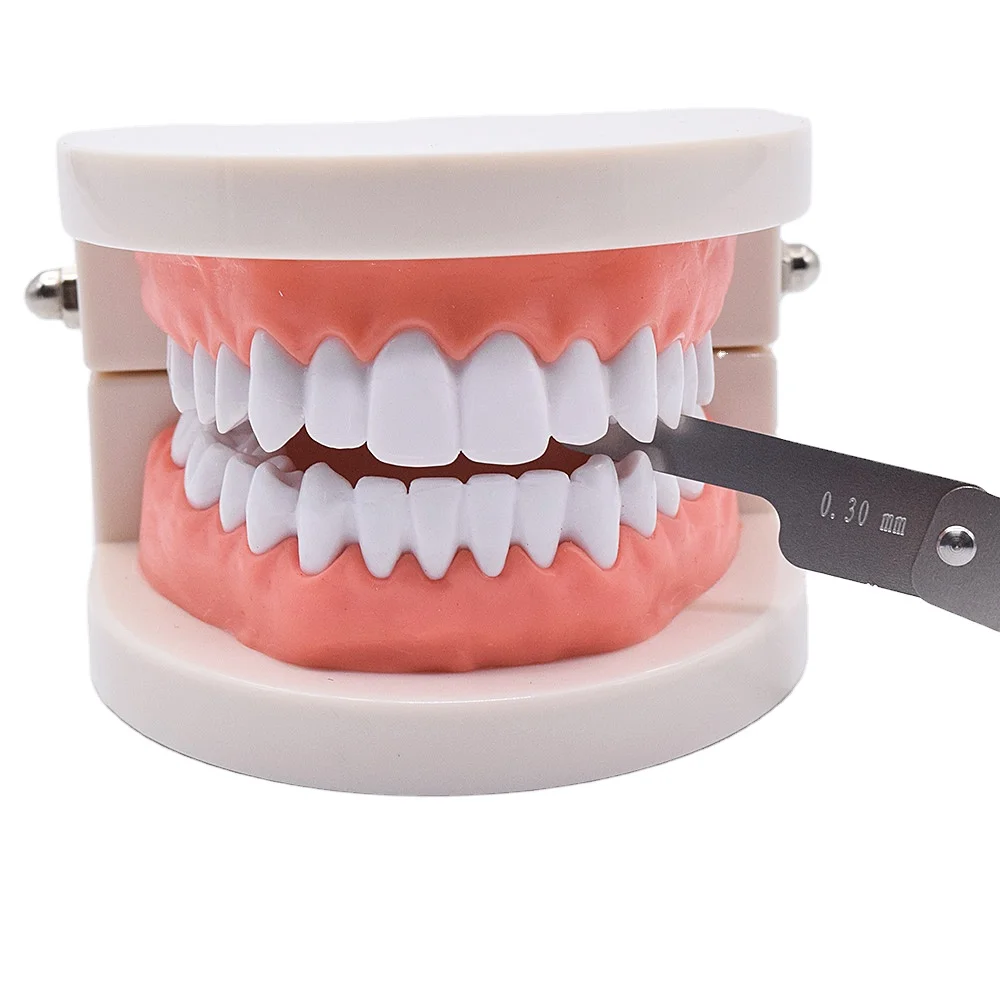 Стоматологическая нержавеющая сталь щуп для зубов измерительная линейка