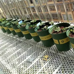 0.8/1.2/1.8cm Hole Flower Pot Leakproof Mesh Pad Gasket Home Bonsai Soil Planting Net Bottom Grid Mat Garden Supplies Netting