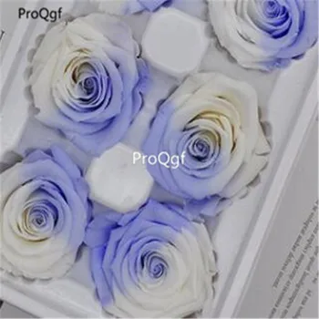 

Ngryise 1000Pcs A Set many series