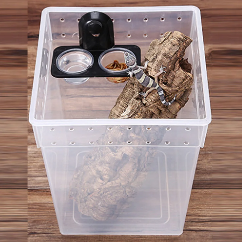 1pcs ABS Reptile Tank Food Water Feeding Bowl Insect Spider Ants Nest Snake Gecko Terrarium Breeding Feeders Box Pets Supplies reptile feed bowls small pet cage accessories ant farm accessories