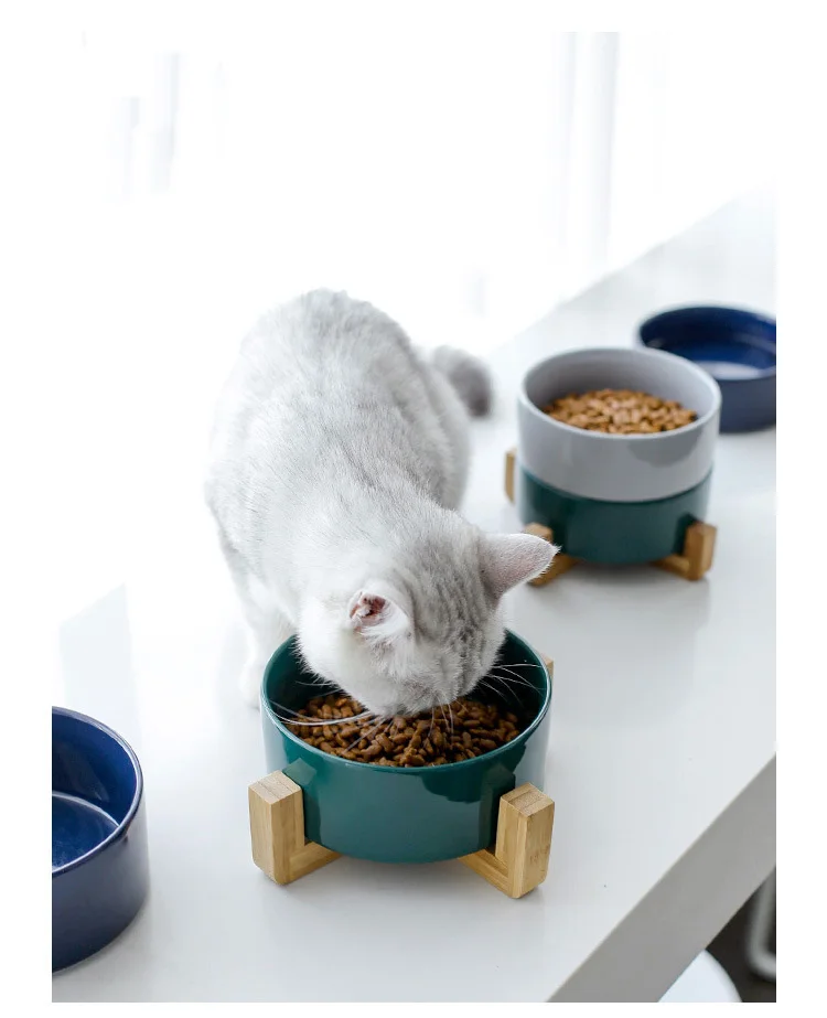Милая керамика миска для кошки Универсальный ПЭТ употребление алкоголя чаша бамбуковая стойка противоскользящая собака кошка посуда, Чаши Товары для домашних животных