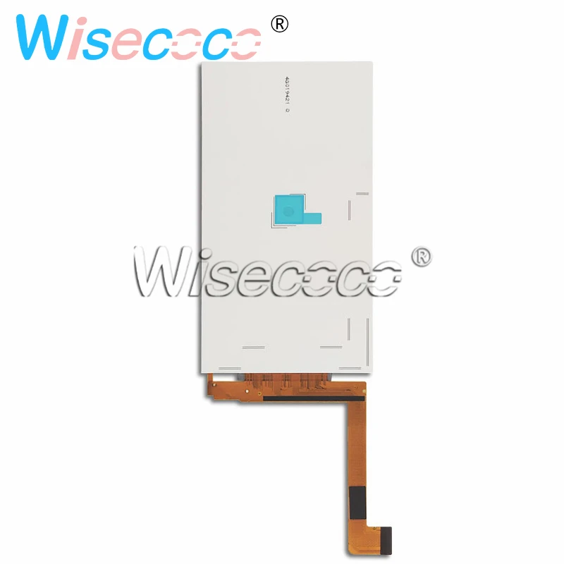 HTB1kL4TN7zoK1RjSZFlq6yi4VXaX