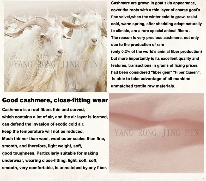 HTB1S1d0dWLN8KJjSZFKq6z7NVXao - 副本