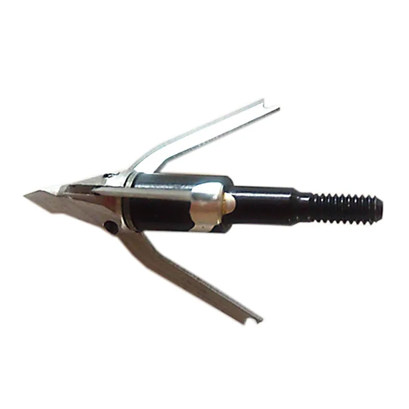 2541071981_1148519445