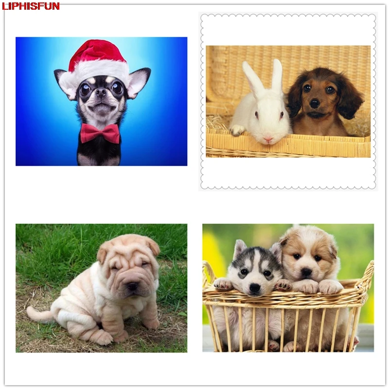 LIPHISFUN полная дрель алмазная живопись шар пей собака кошка ручная вышивка