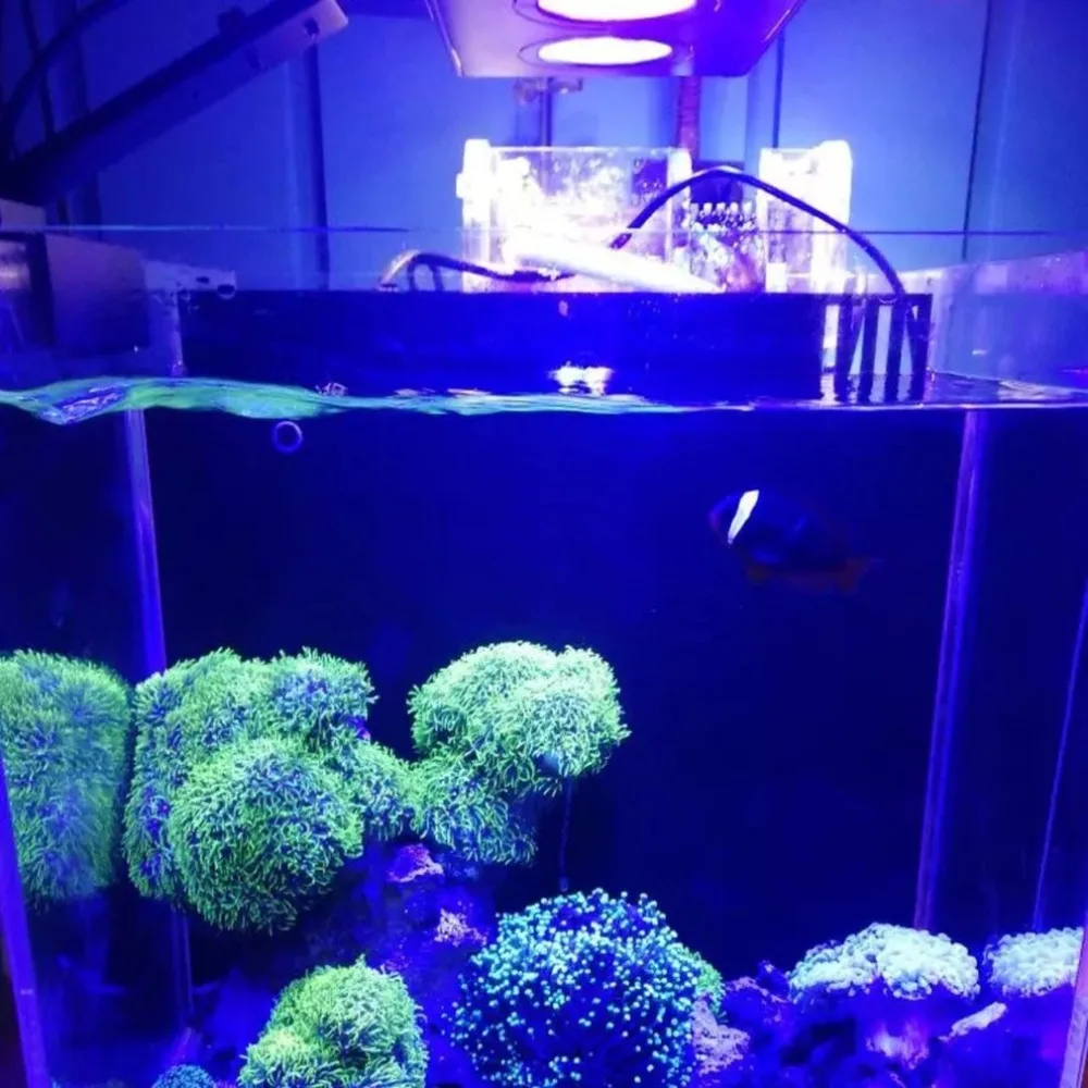 Светодиодный светильник для аквариума 30 Вт Крытый Светодиодный светильник для аквариума светильник для морской воды с сенсорным управлением для аквариума коралловых рифов