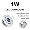 1 Watt