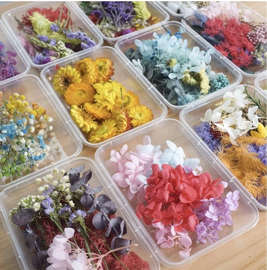 1box 17*12*3cm Mix Beautiful Real Dried Flower Diy Material Eternal