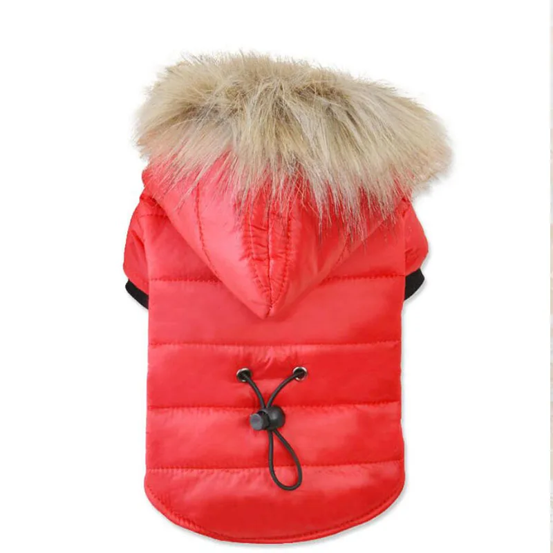 

2019 New Down cotton-padded jacket Dog Cotton-padded Coat Autumn and Winter Sweater Two-legged Dress Small and Medium-sized Dog