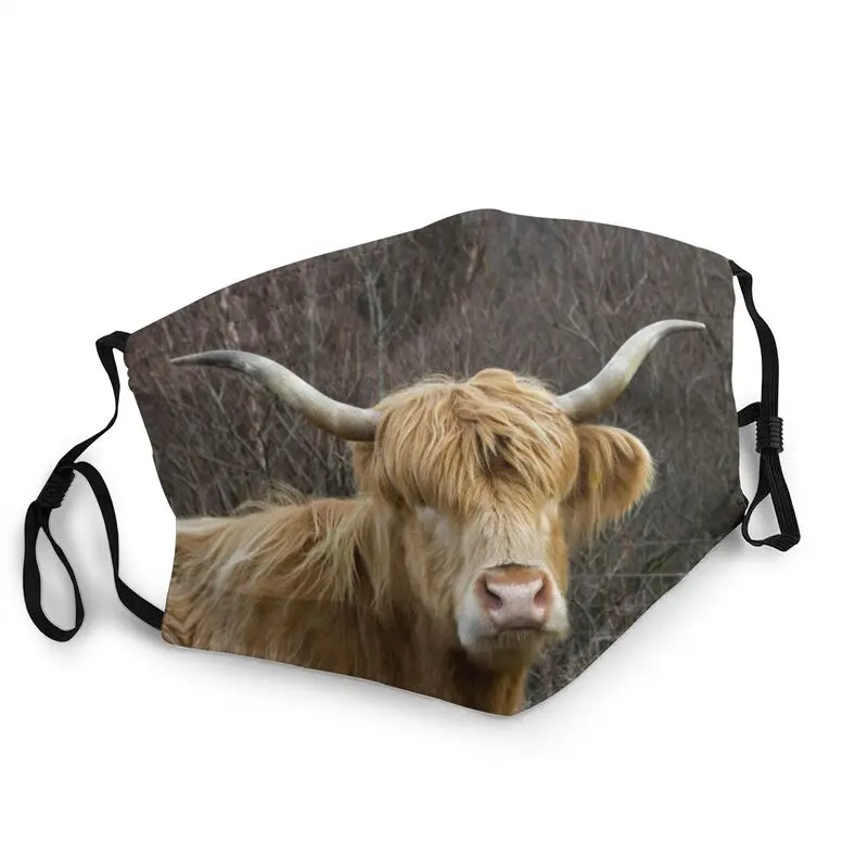 Шотландский крупный рогатого скота Highland корова дышащая унисекс маска для лица
