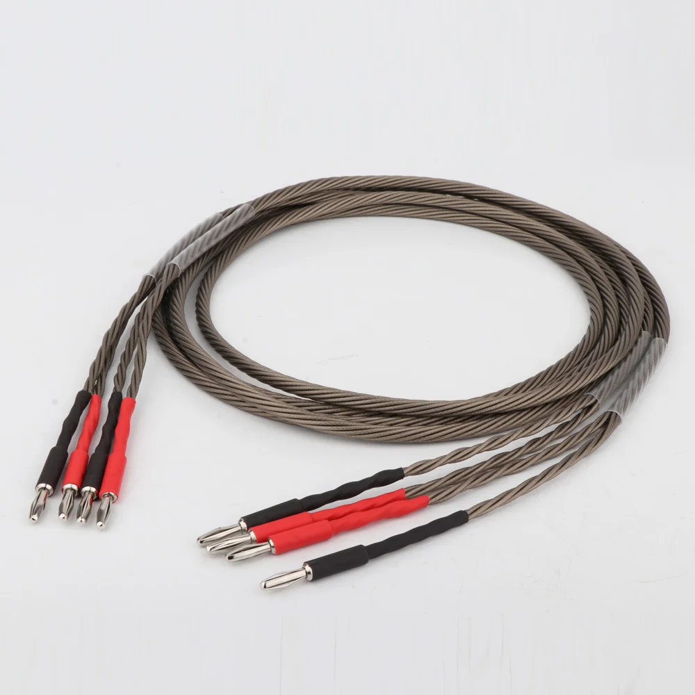 core system speaker cable 