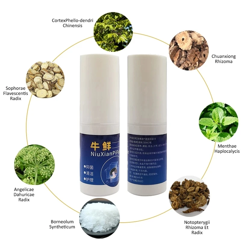 Herbal Psoriasis Spray Is Suitable For Various Psoriasis And Eczema Skin Problem Patch Body Massage Antibacterial Cleansing Care