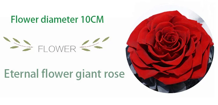 Love Everlasting flower vase Glass cover 01