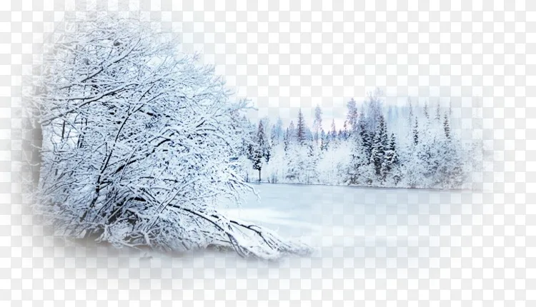 冬季桌面壁纸摄影雪夹艺术 雪景png图片素材免费下载 图片编号5545611 Png素材网