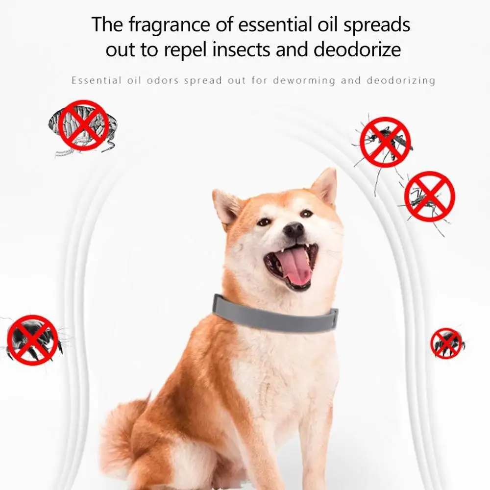 How Do You Deodorize A Dog Collar