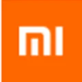 XiaoMi-YouPin Global Store