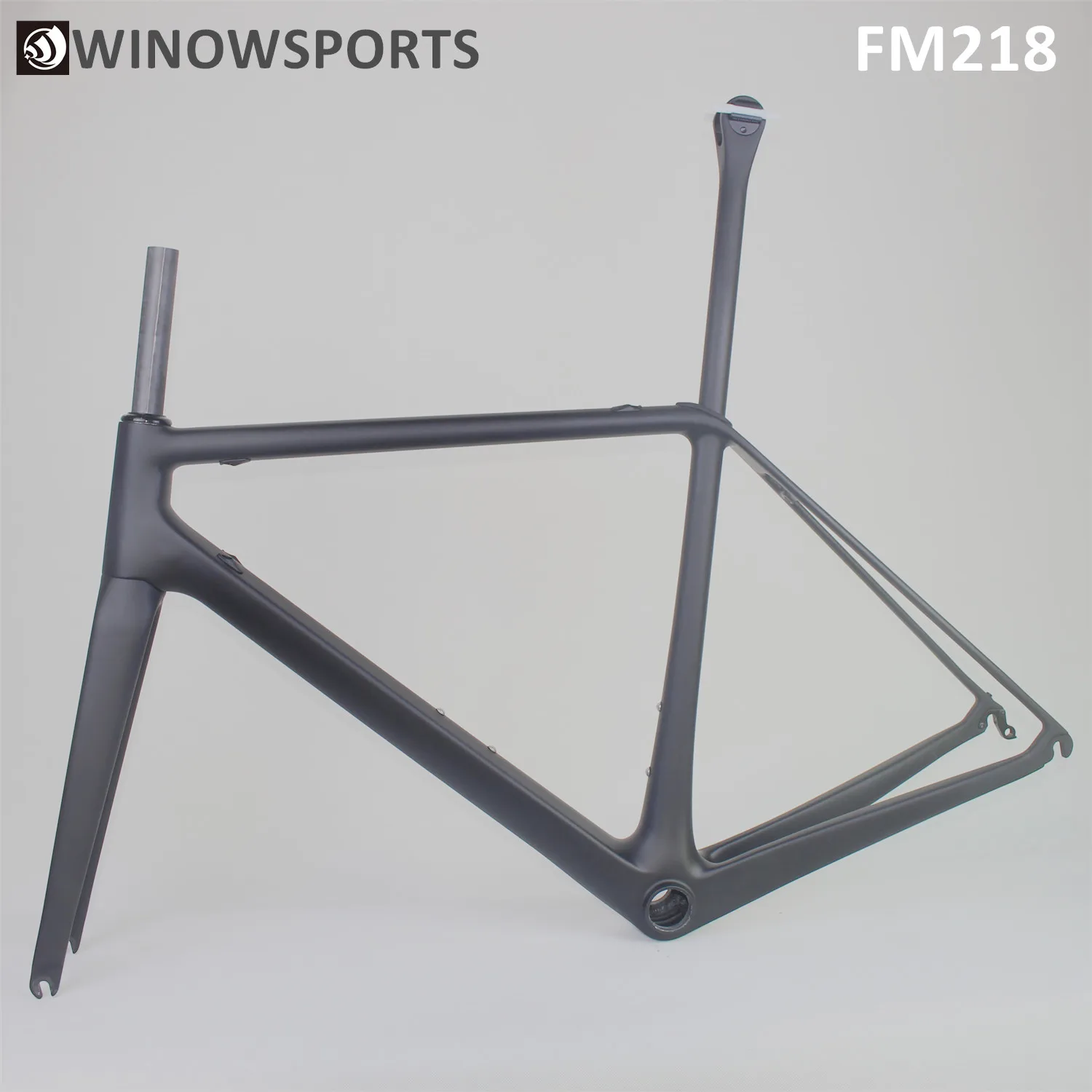 WINOWSPORTS 2020 Новый OEM светильник высокая прочность углеродная рама для шоссейного