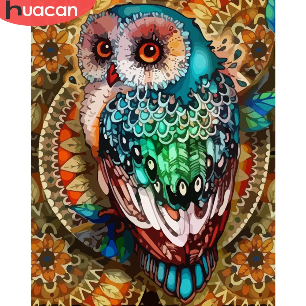 HUACAN Раскраска по номерам Сова животные наборы Рисование холст DIY картины картина