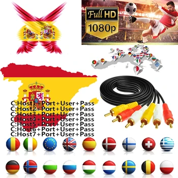 

1 Year Cccam cline 7 clines egygold server For Europe Spain UK Germany French Italy POLSAT MOVISTAR ES for Satellite receiver