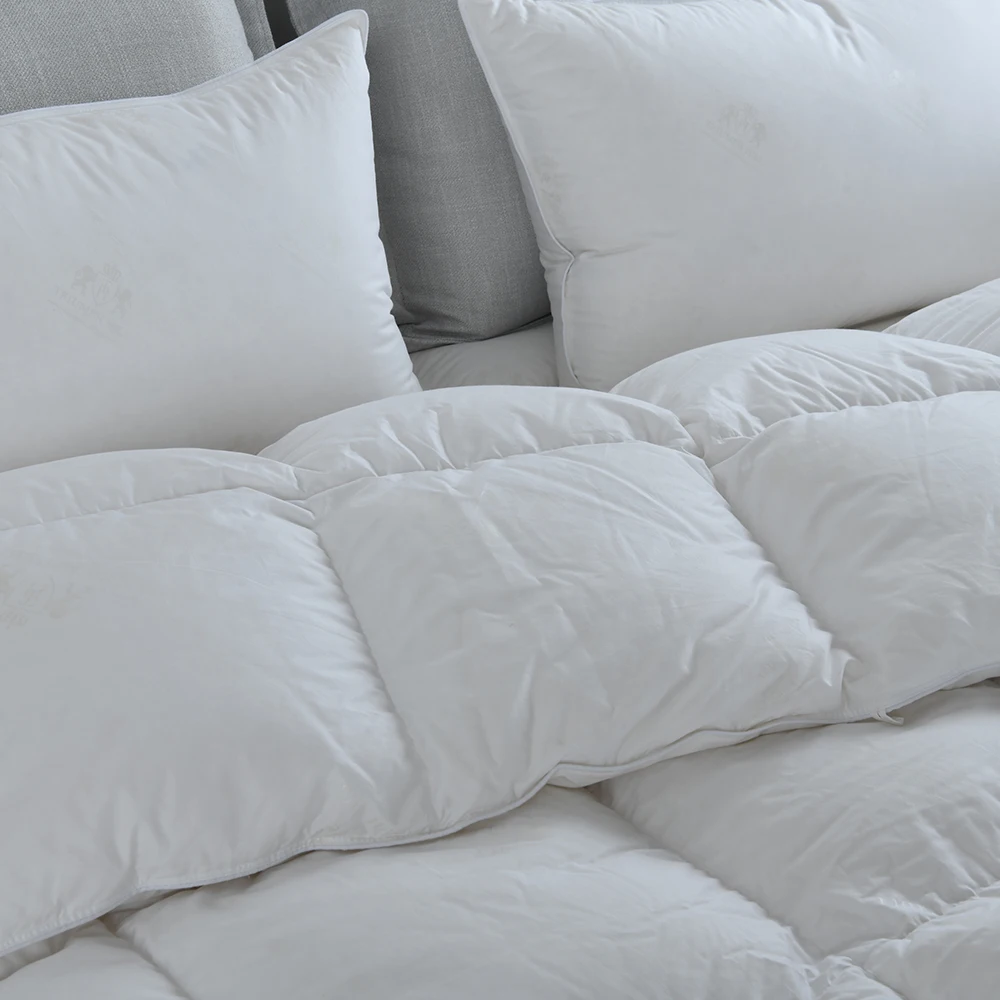 100% Duvet Autumn Winter 95 White Goose Down Quilt Five-star Hotel Warm Double Bed Single Down Quilt Core Size