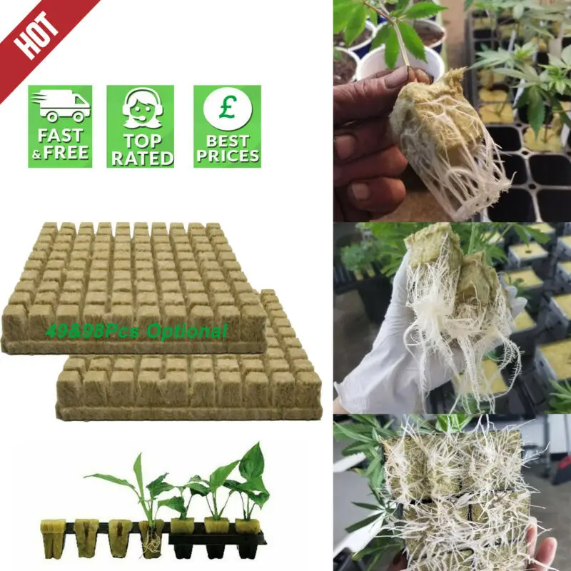 Grodan Rockwool лист блок размножения клонирование семян поднятие гидропоники 49 и 98 кубов