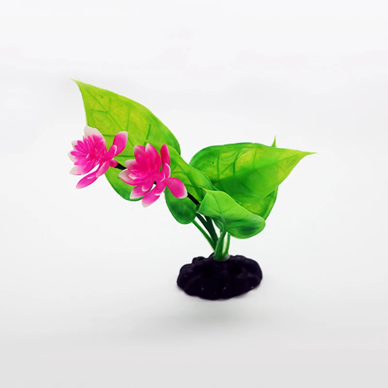 假草（11）
