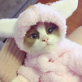 

Funny plush bunny ears clothes dog clothes pet cat dog coat puppy Christmas Easter clothes Chihuahua bulldog dog winter clothes